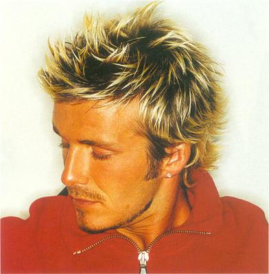 Next Hair Cut