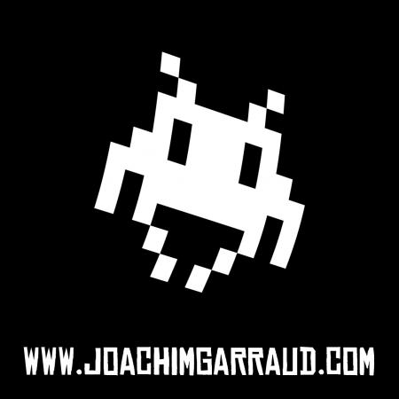 Mr Joachim GARRAUD